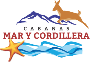 logo-sin-fondo